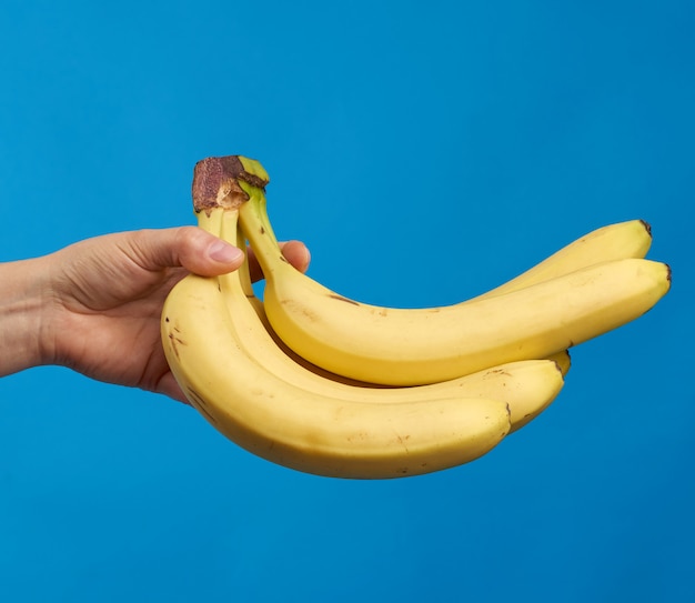 Женская рука держит желтый спелый банан на синем пространстве
