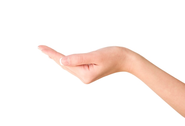 Female hand on isolated white background