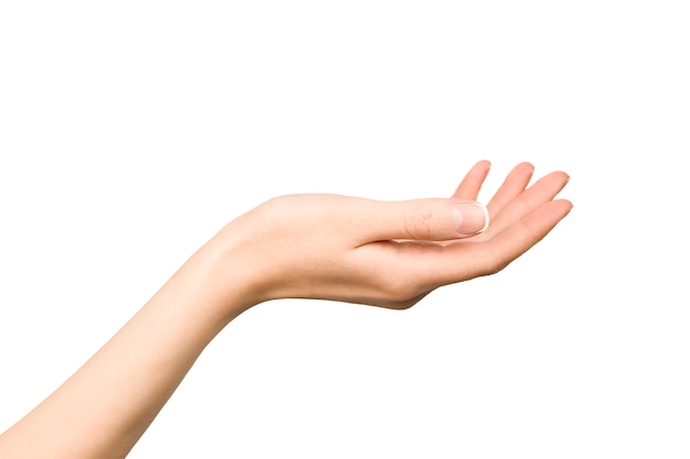 female hand on isolated white background