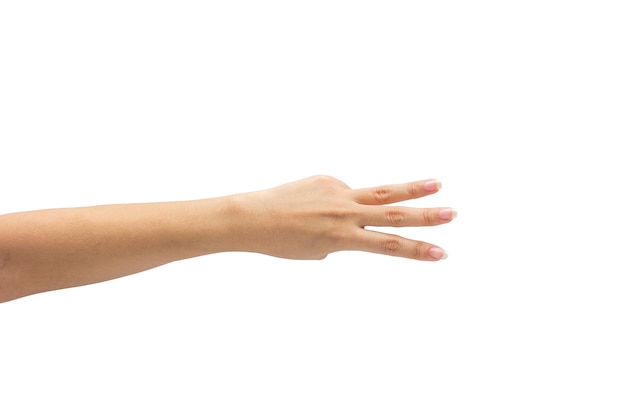 흰 배경에 고립 된 여성 손