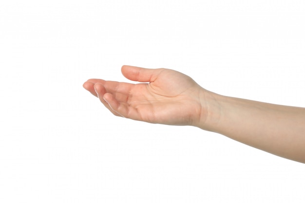 Foto mano femminile isolata su superficie bianca