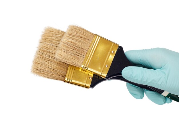 Female hand in a latex glove holding house painter brushes on a white isolated background. Repair tool. Building tool. Close-up view.