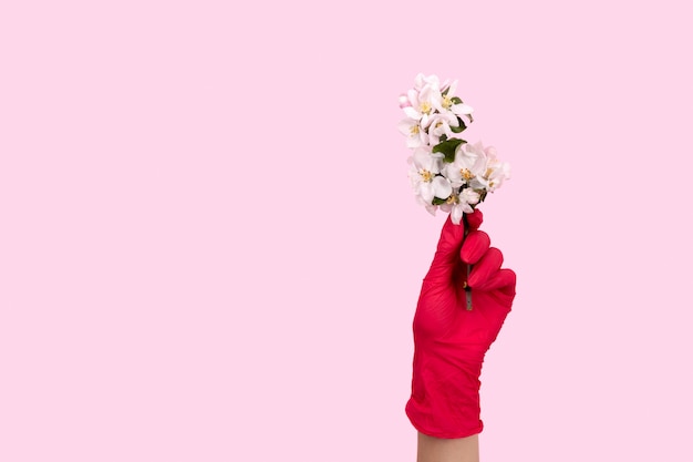 분홍색 장갑에 여성 손에 꽃을 보유하고있다. 집에서 안전하게 지내십시오