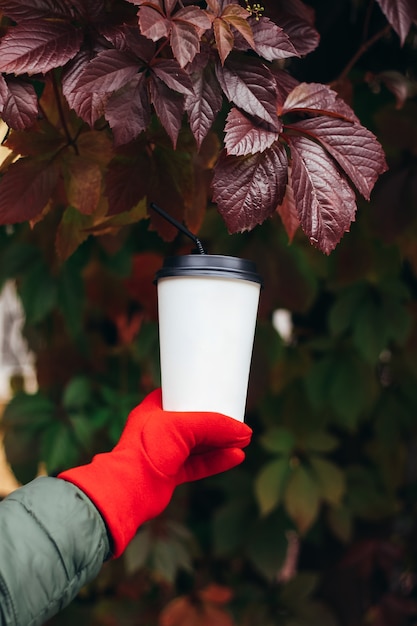 Female hand in a red glove holding a white coffee paper cup with straw on background of grape leaves