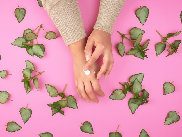 Female hand smears white cream on the other hand and green fresh leaves of the plant