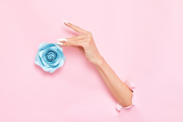 Mano femminile che sporge da uno sfondo di carta rosa che tocca un fiore rosa di carta blu - cura delle mani