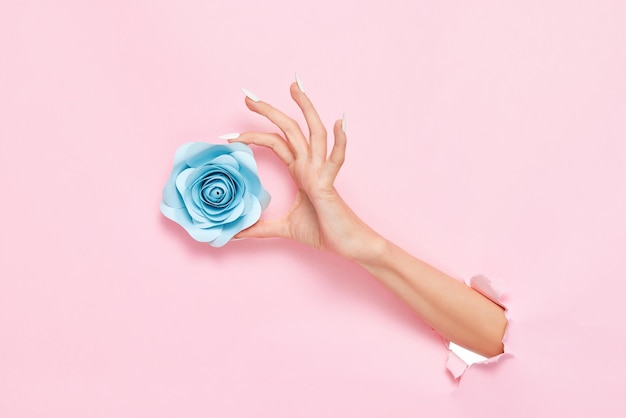 Photo female hand sticking out of pink paper background touching a blue paper pink flower hand care