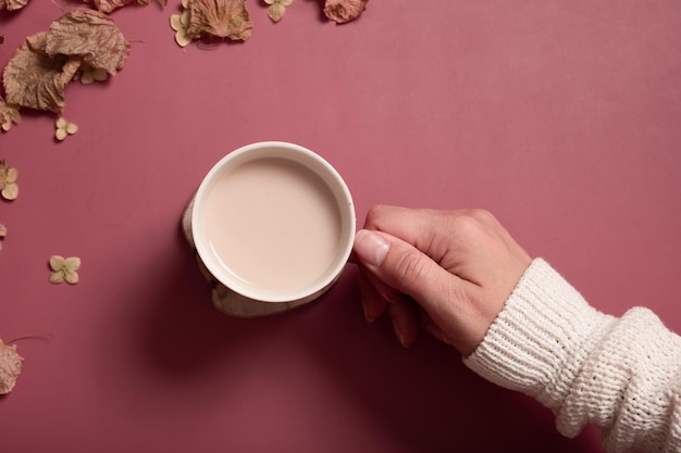 Female hand in sweater holding cup of cocoa on dark pink color background top view