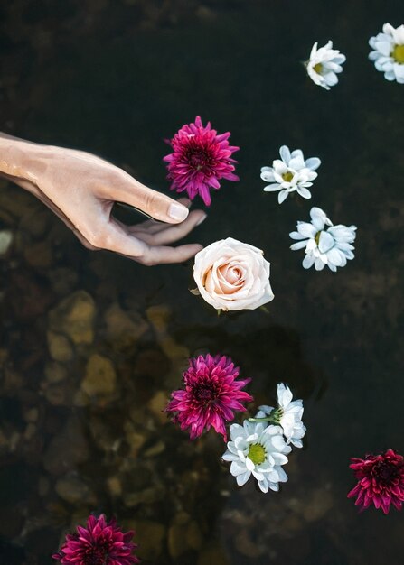 Foto mano femminile in acqua con fiori galleggianti in un lago.