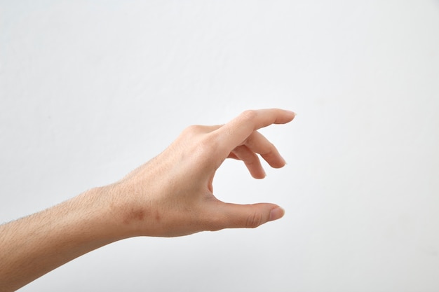 Female hand on white background