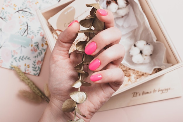 明るいピンクのマニキュアを持つ女性の手は、黄金のユーカリの枝を保持しています