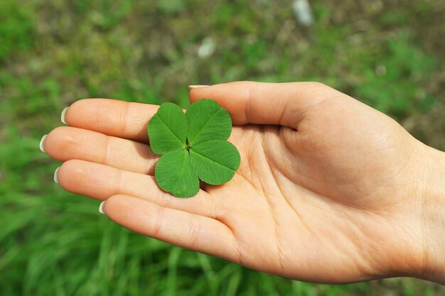 Female hand with four leaves clover closeup