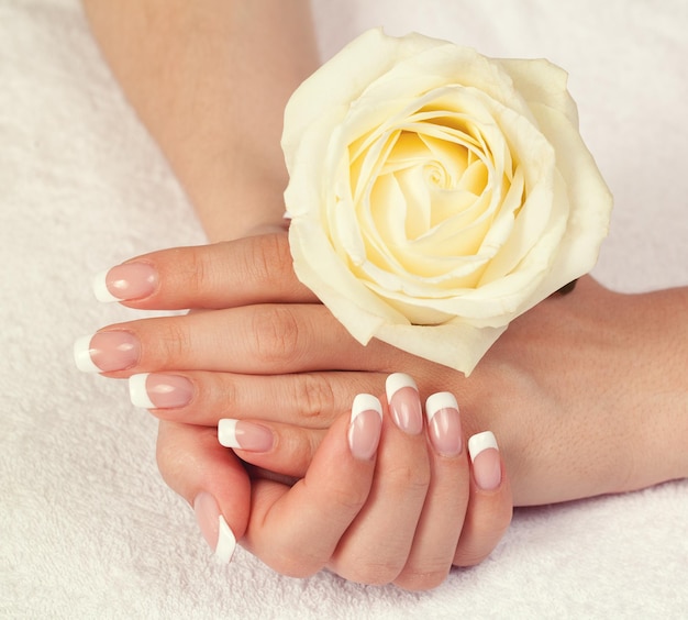 Mano femminile con french manicure che tiene una rosa bianca