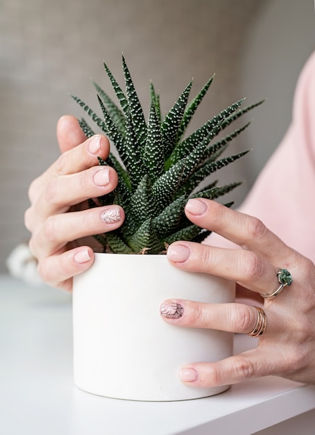 Female hand with fresh made manicure holding a succulent potplant