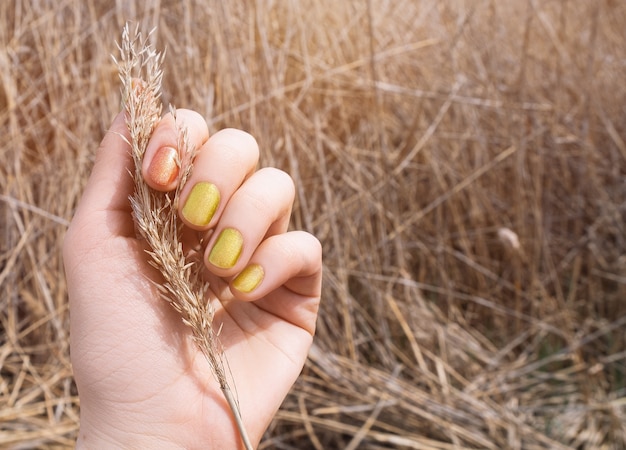 Mano femminile con design delle unghie giallo glitterato. manicure con smalto arancione glitterato. fiore di canna secco della tenuta della mano della donna.