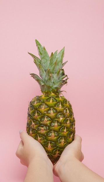 Female hand with pineapple on a pink background Tropical Fruits