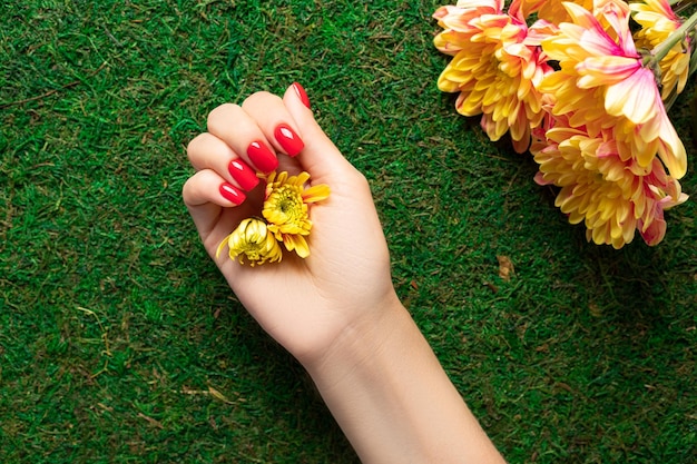 写真 緑の背景に花を保持している赤いネイル デザインの女性の手