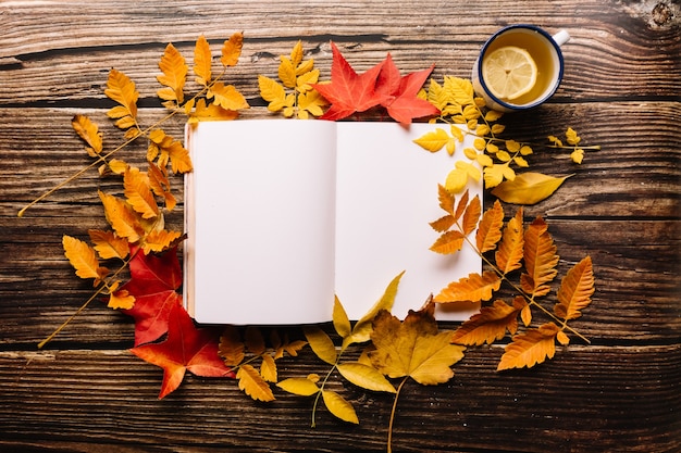 Photo female hand writing in a bullet journal.