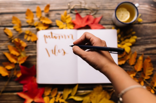 Female hand writing in a bullet journal.