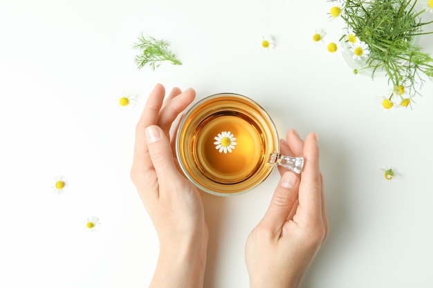 Female hands and chamomile tea on white