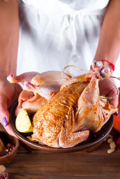 In female hands the chicken in sauce and spices on a plate