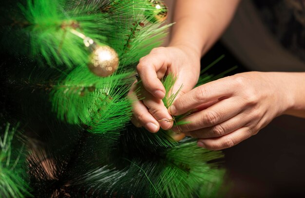 写真 クリスマスツリーを飾る女性の手