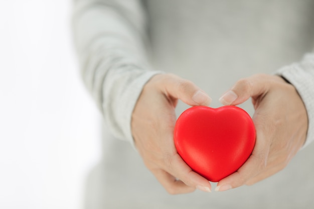 Mani femminili che danno cuore rosso