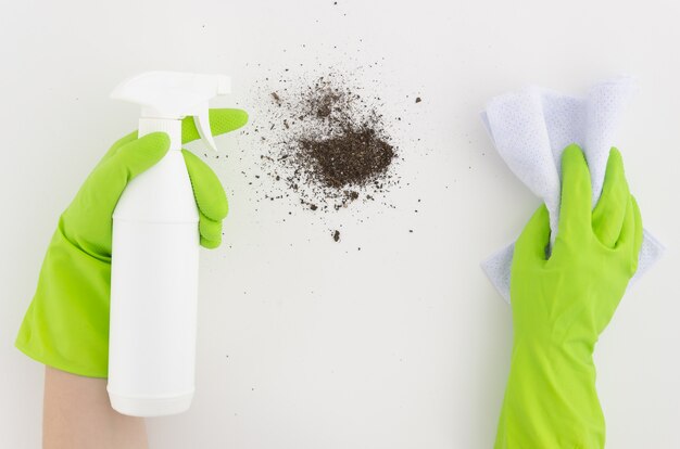 female hands in green rubber gloves with spray and rag clean the dirt