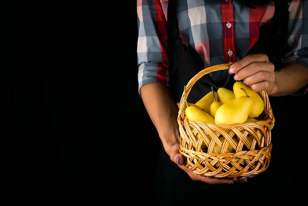 Female hands hold a basket with pears