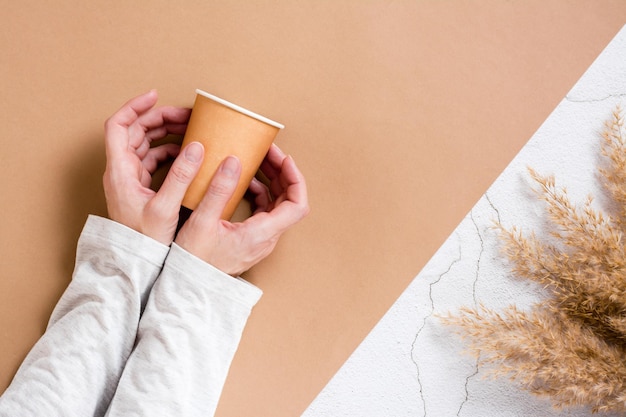 Female hands hold a disposable cardboard cup for drinks on a twotone background