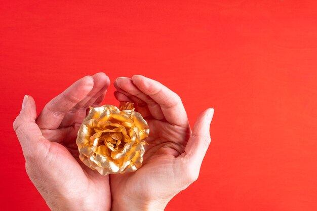 Female hands hold a gold rose with a rose symbol of love, relationships on a red background