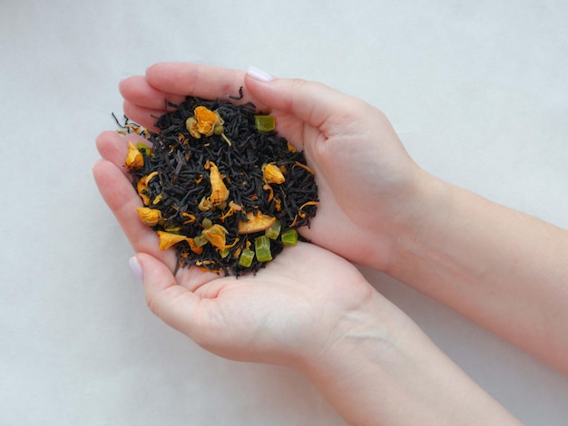 Photo female hands hold a handful of drying dry tea from different grasses on white