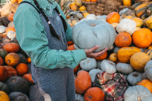 Female hands hold out a small pumpkin