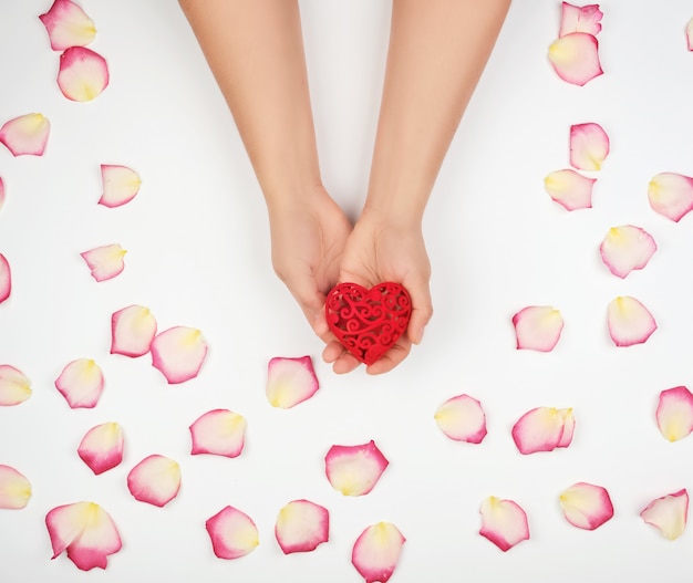 Female hands hold red heart, white background 