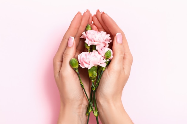 女性の手はピンクの背景に手のひらにバラを保持します