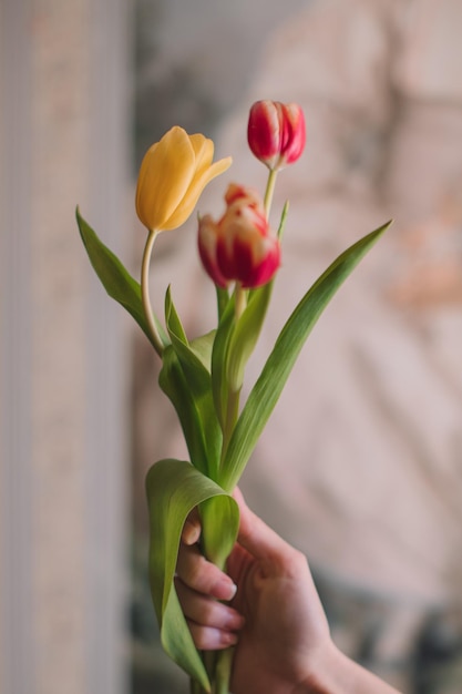 ピンクの春の花の花束を持っている女性の手チューリップフェミニンな美しさの詳細