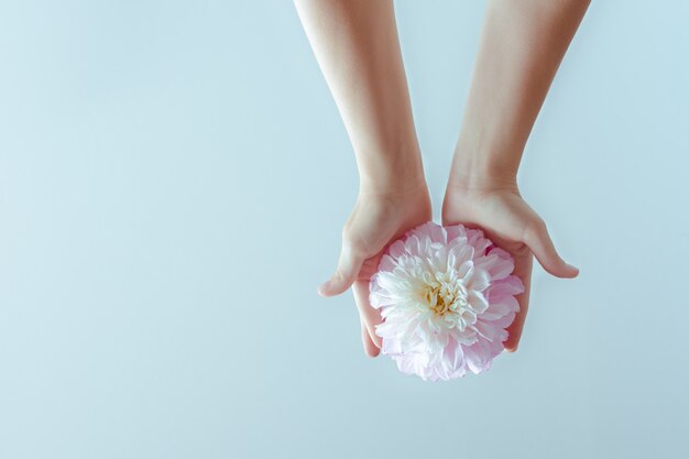 Female hands holding a delicate flower 