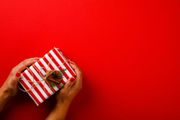 Female Hands Holding Festive Christmas