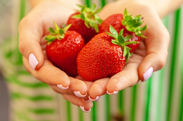 Female hands holding fresh strawberries