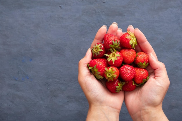 Female hands holding handful of fresh summer strawberries on dark stone background Sharing fresh strawberries from the garden