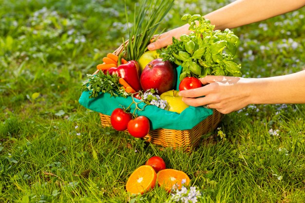 Female hands holding wicker basket with vegetables and fruits, close up