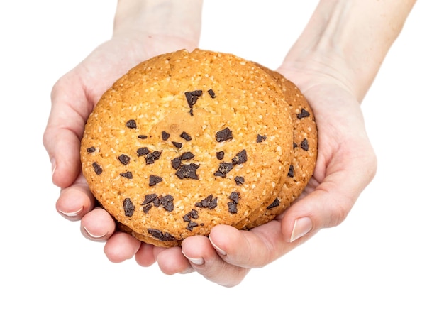 여성의 손은 흰색으로 격리된 초콜릿 칩 쿠키를 보유하고 있습니다.