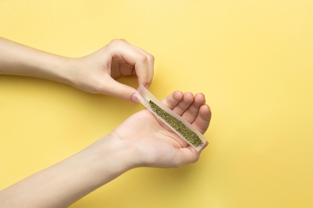 In female hands paper for a joint a filter and crushed medical marijuana against a bright banana yellow background