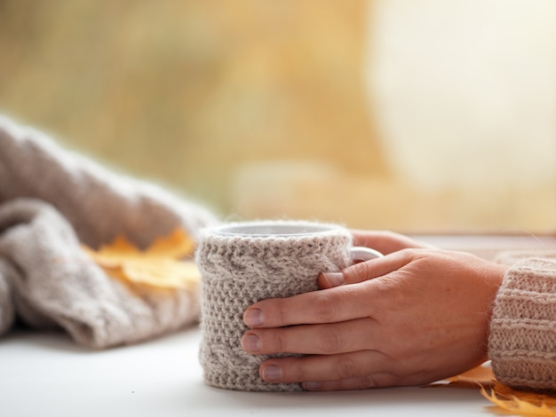 Mani femminili in un maglione che tiene una tazza di caffè sulla finestra di autunno nella casa