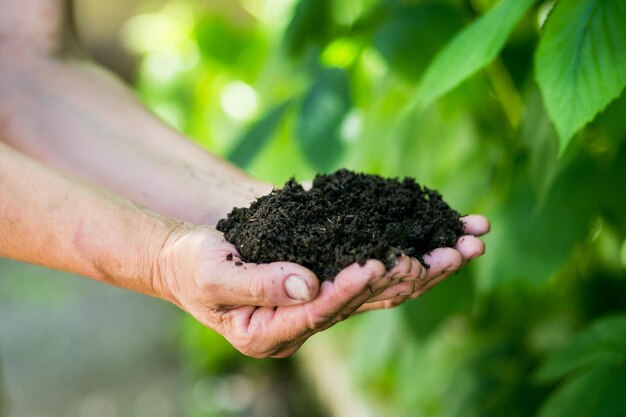 Female hands with black soilfertility and nature concept