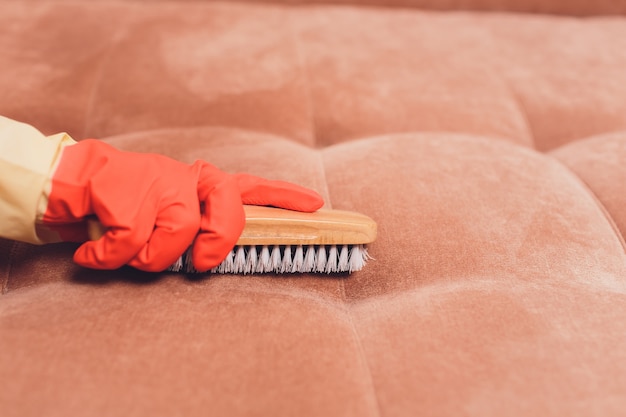 Photo female hands with a brush cleaning couch