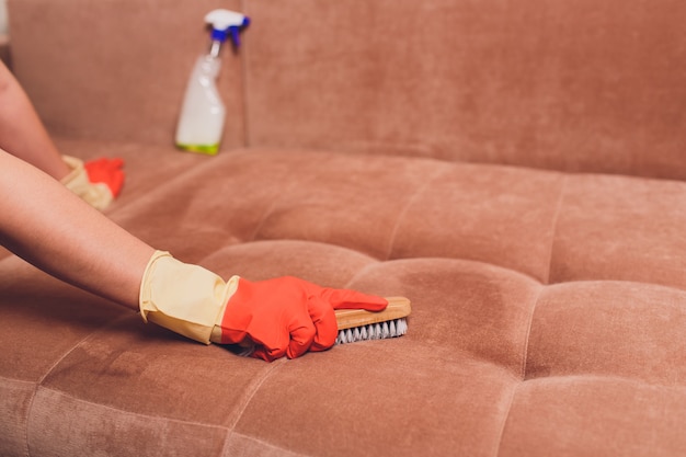 female hands with a brush and a spray cleaning couch