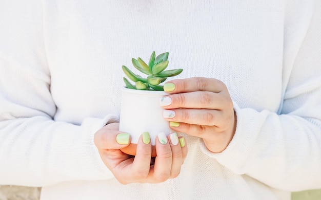 Female hands with green and white botanical manicure holding a succulent in a white flower pot