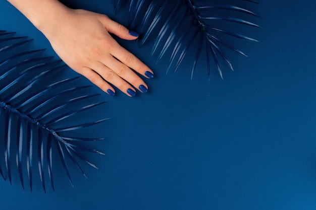 Фото Женские руки с маникюром классического синего цвета. закрыть