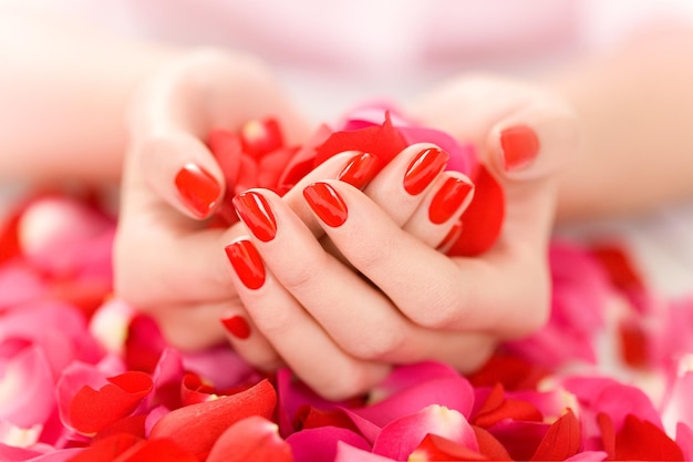 Female hands with red nails holding red and pink rose petals
